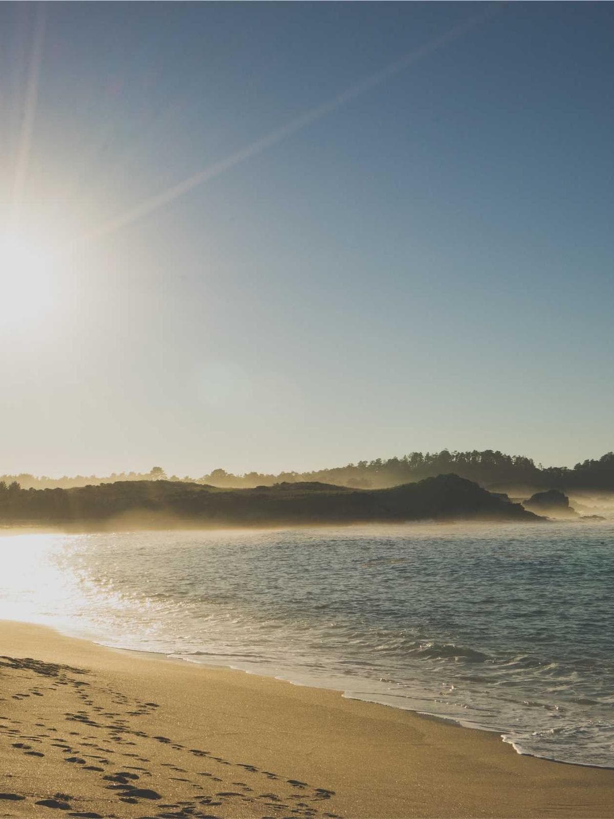 Wedding Tracks owner feature portrait